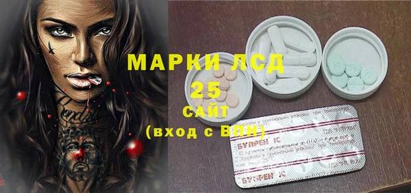 прущие грибы Белоозёрский