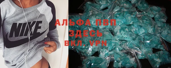 прущие грибы Белоозёрский