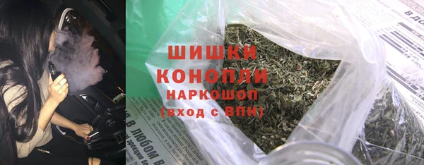 прущие грибы Белоозёрский