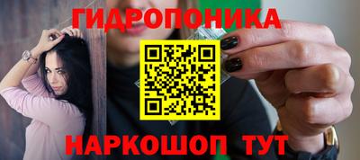 прущие крисы Заводоуковск