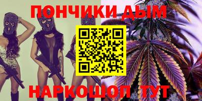 индика Жуковский
