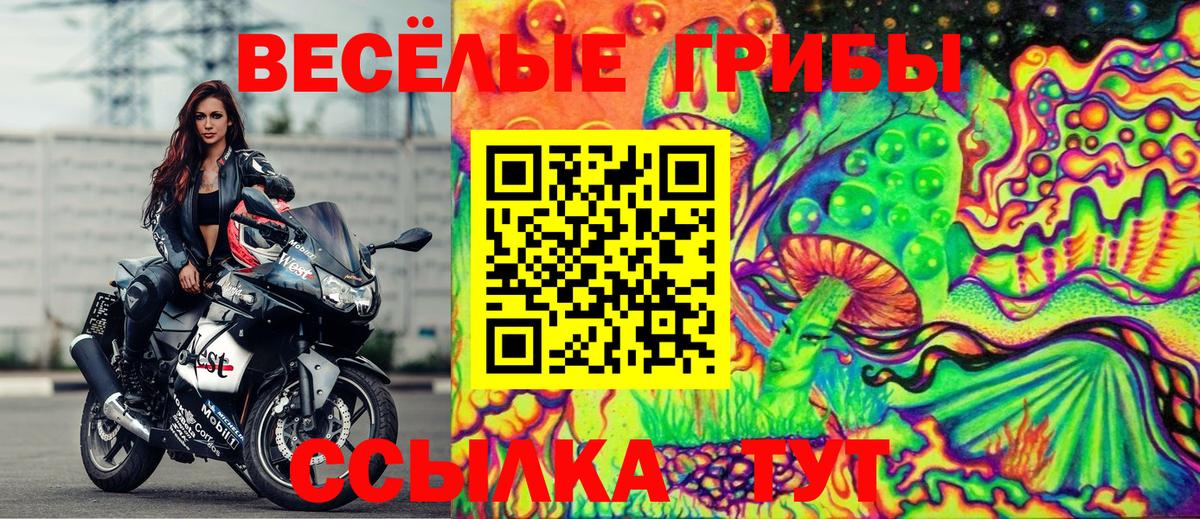 Галлюциногенные грибы мухоморы Верхний Уфалей